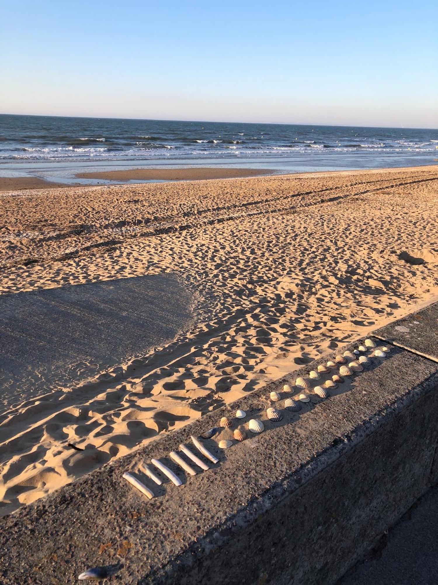 Le Petit Navire - Acces Direct Plage Cabourg Luaran gambar